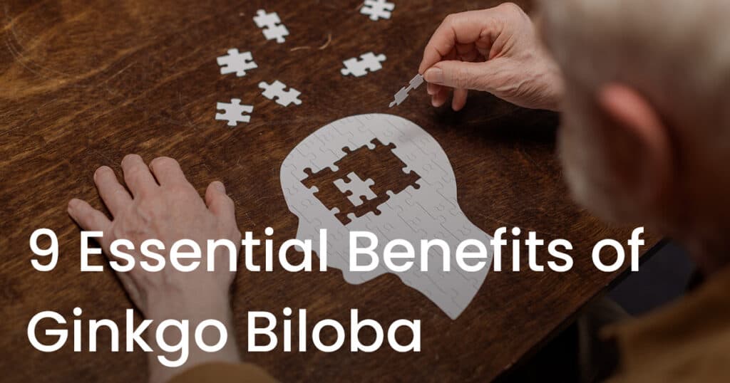 9 Benefits of Ginkgo Biloba