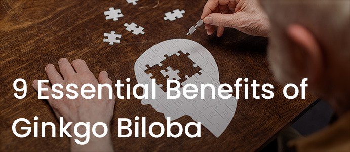 9 Essential Benefits of Ginkgo Biloba