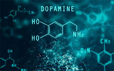 Chemical formula of dopamine