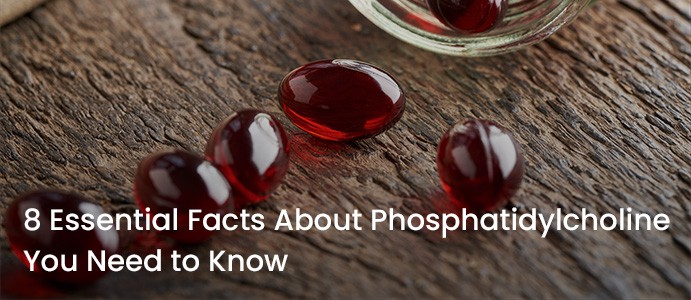 8 Essential Facts About Phosphatidylcholine You Need to Know