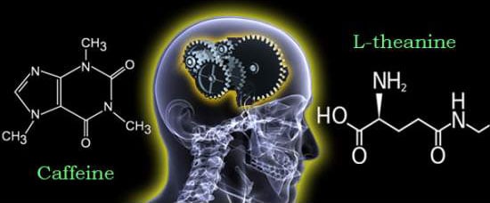 L-theanine and Caffeine