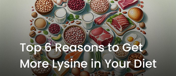 Top 6 Reasons to Get More Lysine in Your Diet