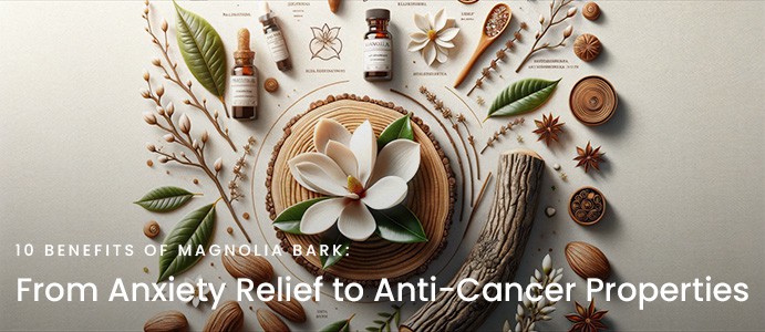 10 Benefits of Magnolia Bark: From Anxiety Relief to Anti-Cancer Properties