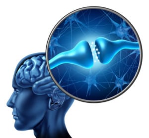 Many nootropic chemicals enhance and develop the mind by increasing levels of neurotransmitters.