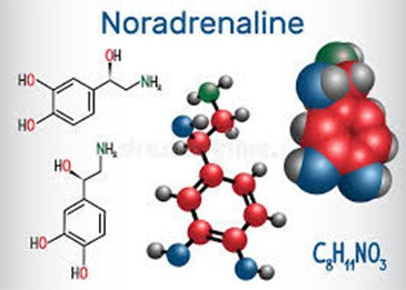 Chemical formula of noradrenaline