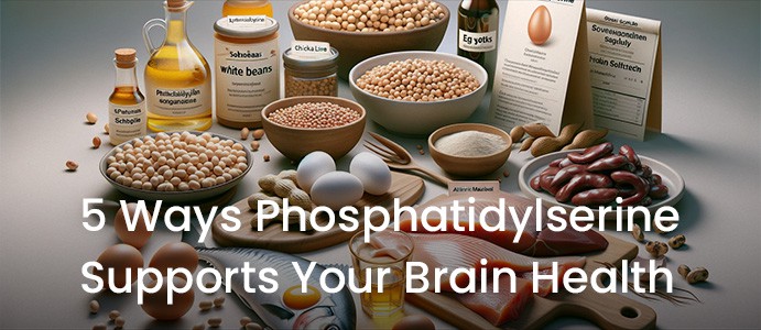 5 Ways Phosphatidylserine Supports Your Brain Health