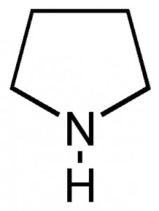 Structure of pyrollidine