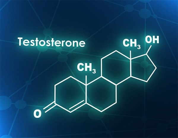 Testosterone Chemical Formula