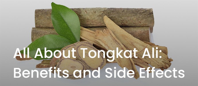 All About Tongkat Ali: Benefits and Side Effects