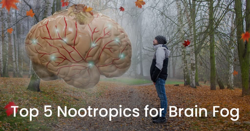 A man is standing in an autumn landscape in front of a colossal human brain.