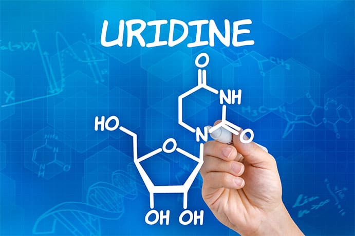 Photo of Uridine Chemical Formula